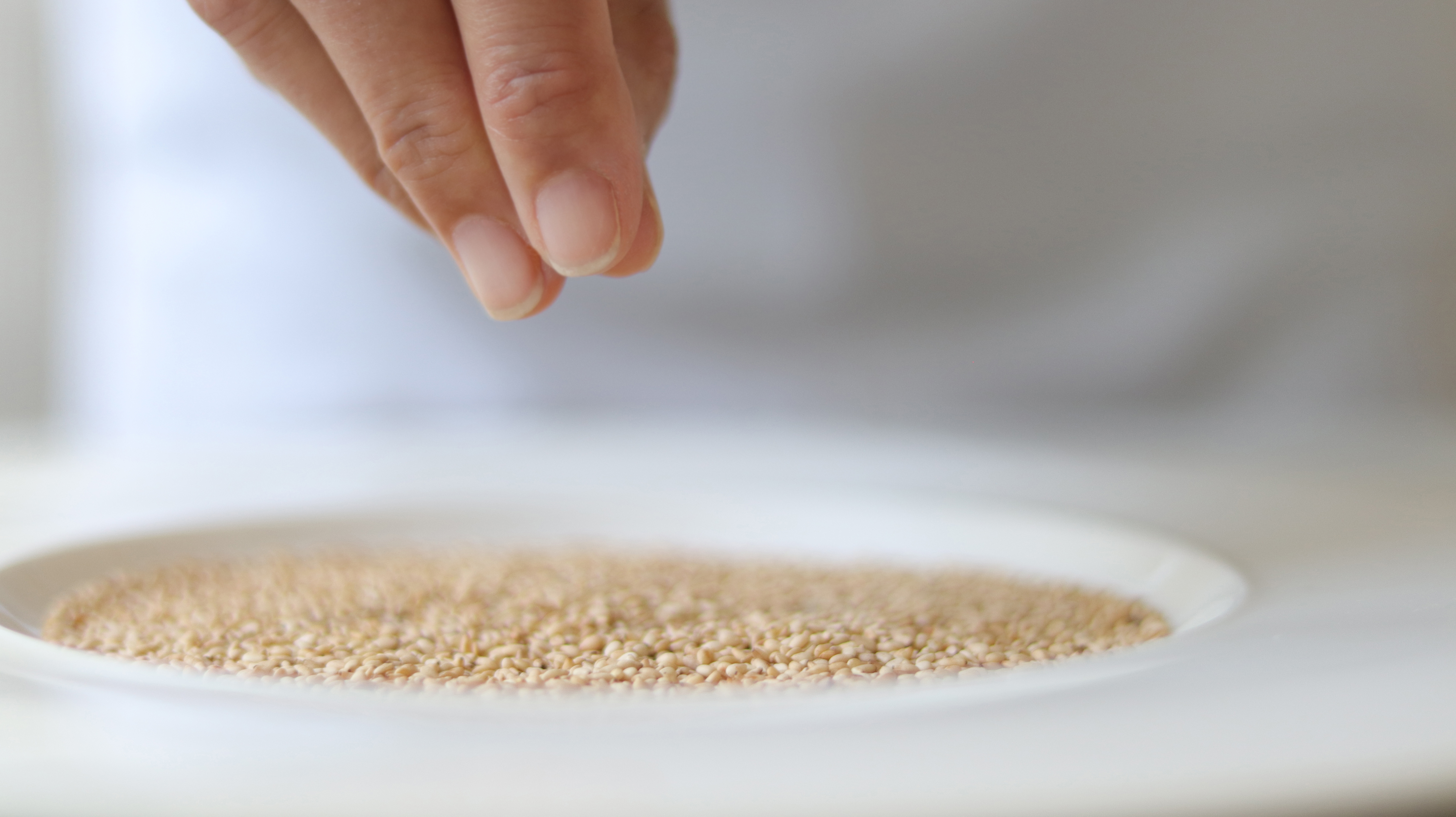 GONET Consulting background